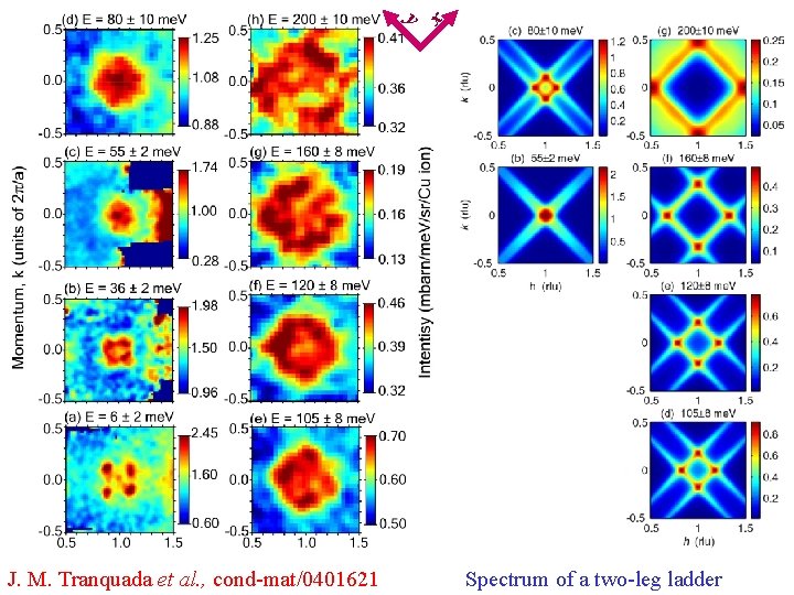 x y J. M. Tranquada et al. , cond-mat/0401621 Spectrum of a two-leg ladder