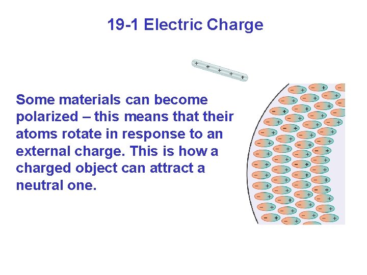 19 -1 Electric Charge Some materials can become polarized – this means that their