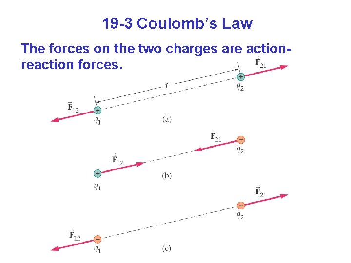 19 -3 Coulomb’s Law The forces on the two charges are actionreaction forces. 