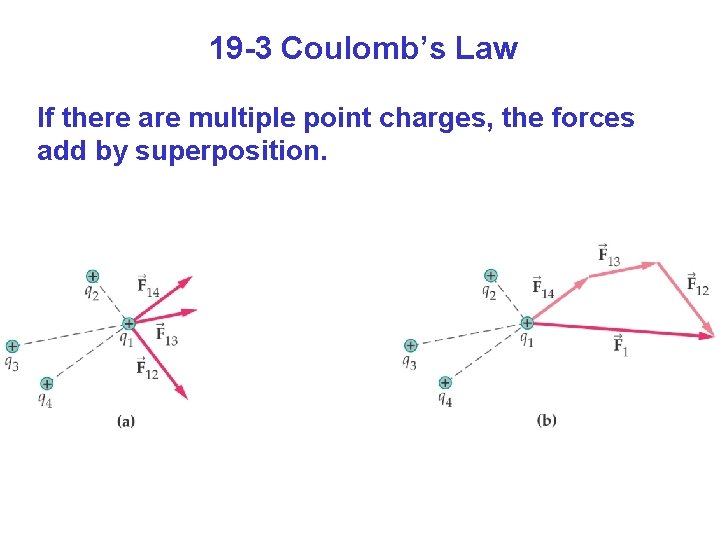 19 -3 Coulomb’s Law If there are multiple point charges, the forces add by