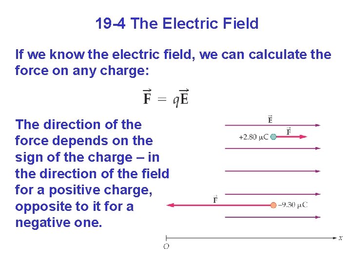 19 -4 The Electric Field If we know the electric field, we can calculate