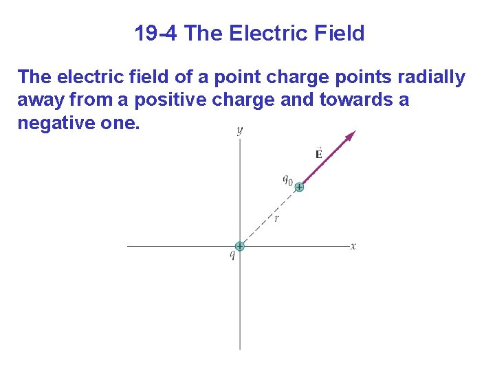 19 -4 The Electric Field The electric field of a point charge points radially