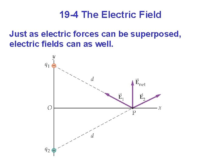 19 -4 The Electric Field Just as electric forces can be superposed, electric fields