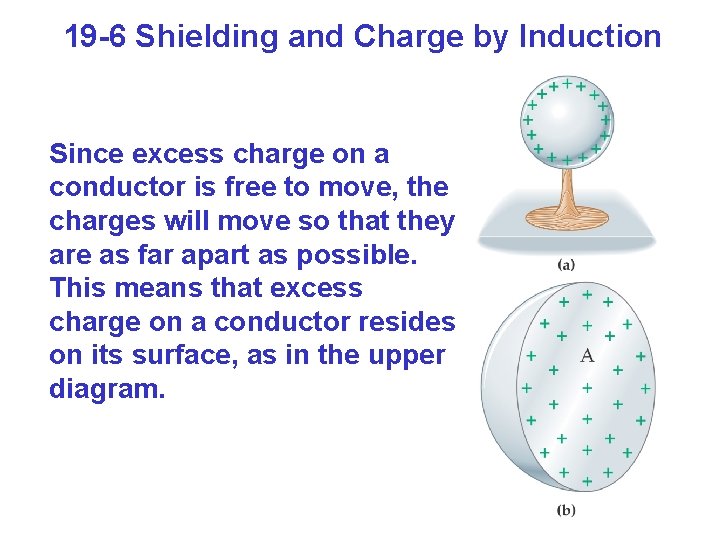 19 -6 Shielding and Charge by Induction Since excess charge on a conductor is