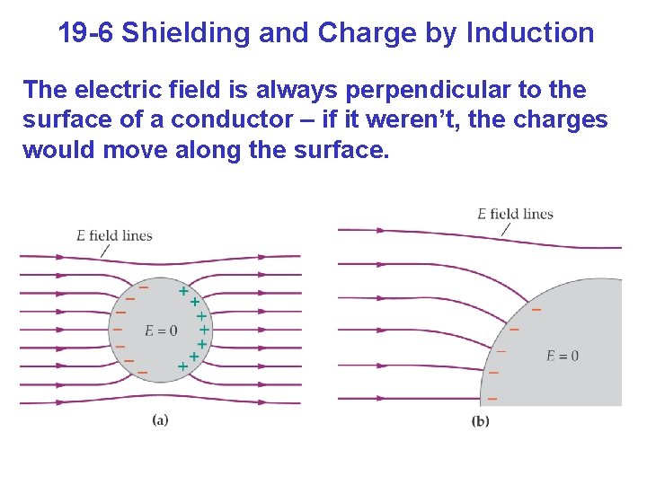 19 -6 Shielding and Charge by Induction The electric field is always perpendicular to