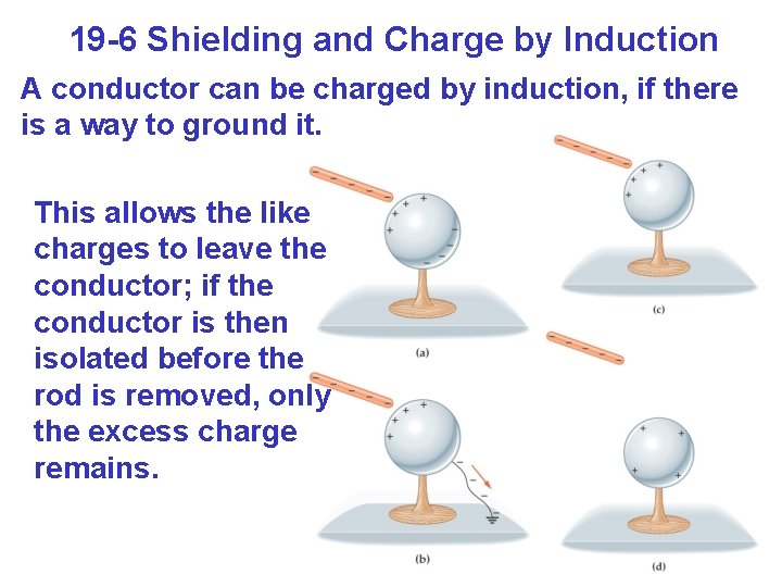 19 -6 Shielding and Charge by Induction A conductor can be charged by induction,