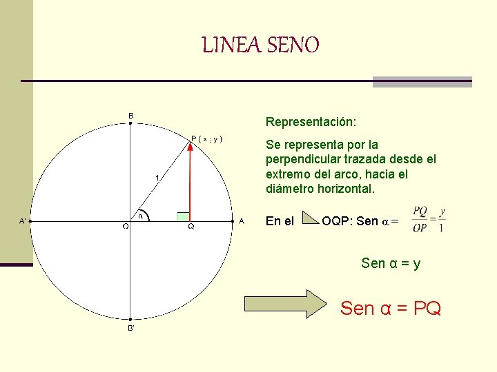 LINEA SENO Representación: Se representa por la perpendicular trazada desde el extremo del arco,