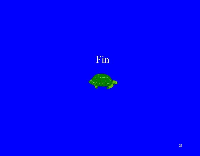 Fin 21 