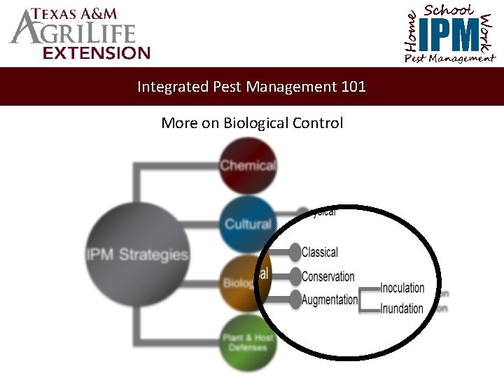 School Home Work IPM Pest Management Integrated Pest Management 101 More on Biological Control
