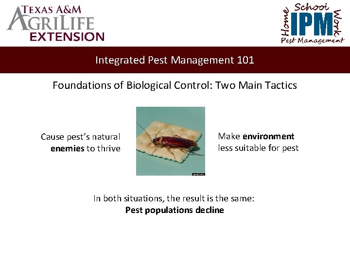 School Home Work IPM Pest Management Integrated Pest Management 101 Foundations of Biological Control: