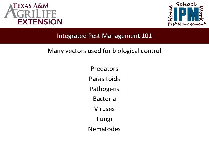 School Home Work IPM Pest Management Integrated Pest Management 101 Many vectors used for