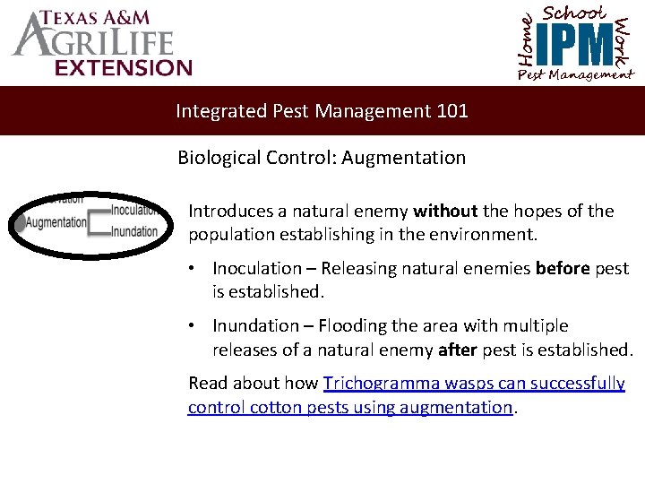 School Home Work IPM Pest Management Integrated Pest Management 101 Biological Control: Augmentation Introduces