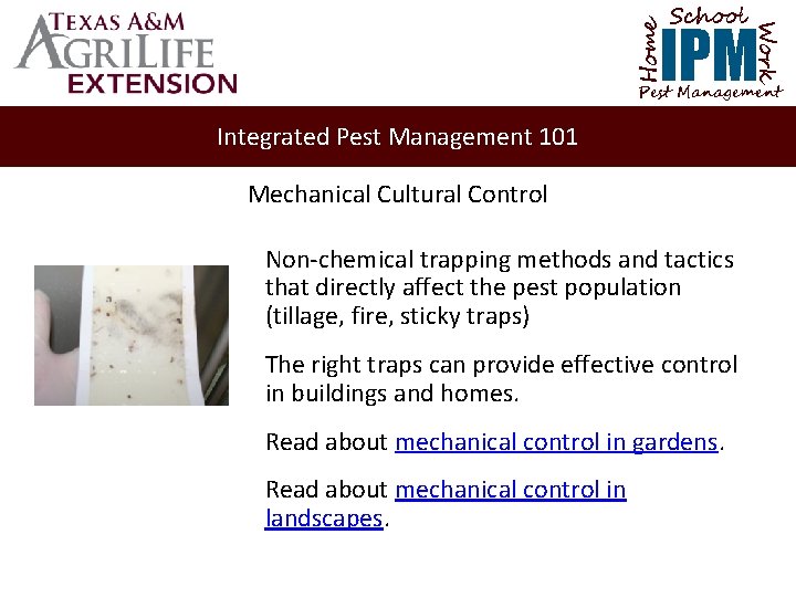 School Home Work IPM Pest Management Integrated Pest Management 101 Mechanical Cultural Control Non-chemical