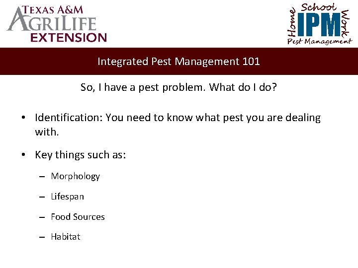 School Home Work IPM Pest Management Integrated Pest Management 101 So, I have a