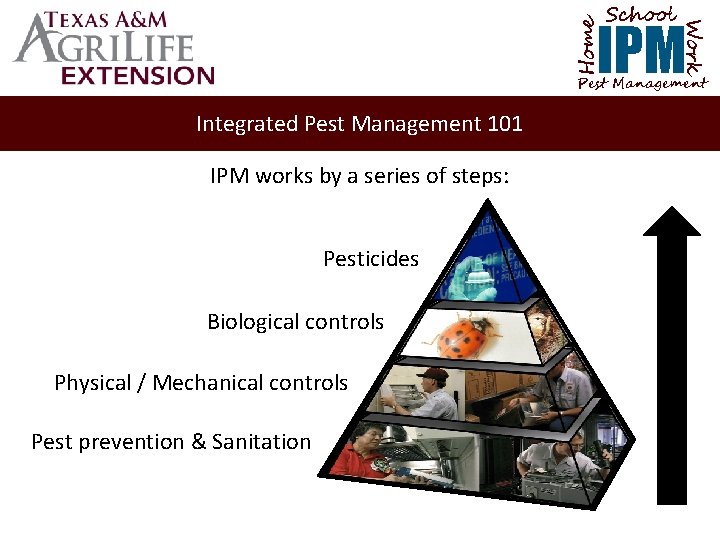 School Home Work IPM Pest Management Integrated Pest Management 101 IPM works by a