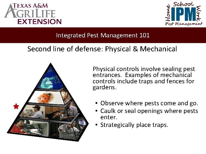 School Home Work IPM Pest Management Integrated Pest Management 101 Second line of defense: