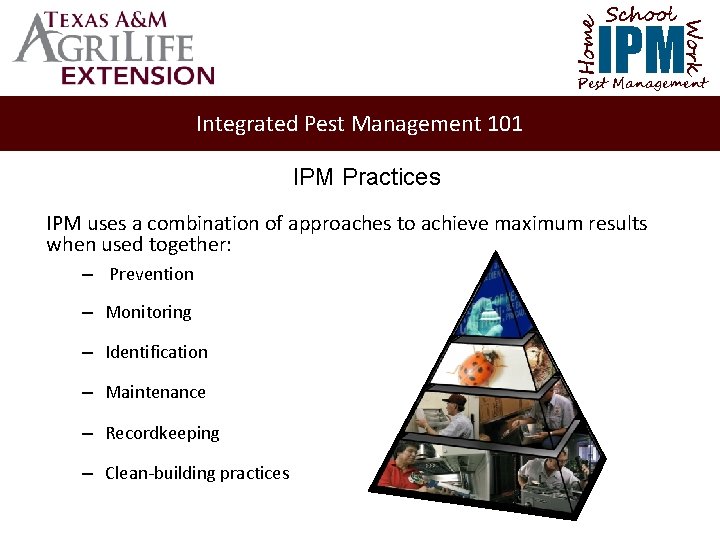 School Home Work IPM Pest Management Integrated Pest Management 101 IPM Practices IPM uses