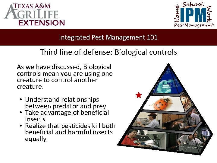 School Home Work IPM Pest Management Integrated Pest Management 101 Third line of defense: