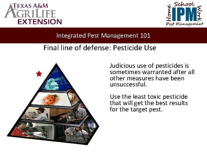 School Home Work IPM Pest Management Integrated Pest Management 101 Final line of defense: