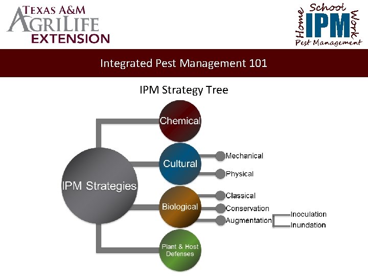 School Home Work IPM Pest Management Integrated Pest Management 101 IPM Strategy Tree 