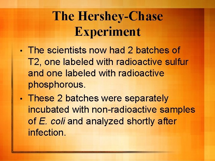 The Hershey-Chase Experiment The scientists now had 2 batches of T 2, one labeled The Hershey-Chase Experiment The scientists now had 2 batches of T 2, one labeled