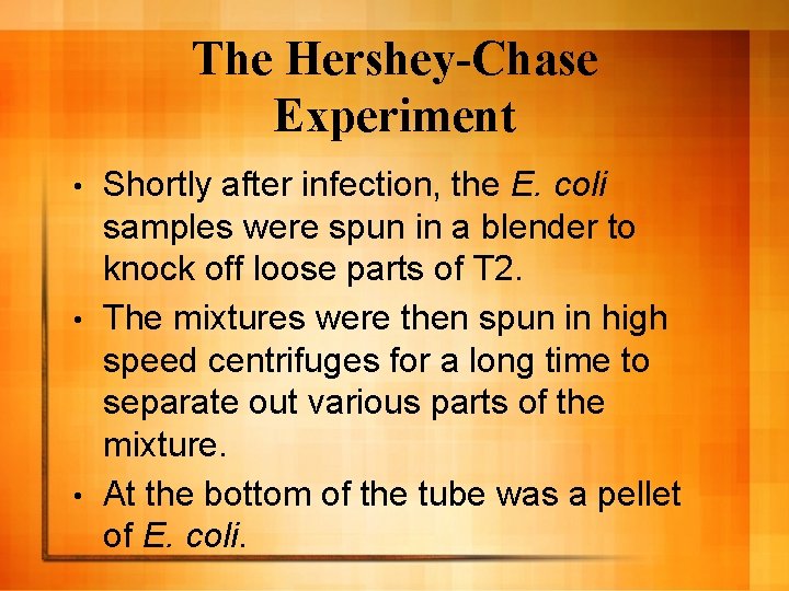 The Hershey-Chase Experiment Shortly after infection, the E. coli samples were spun in a The Hershey-Chase Experiment Shortly after infection, the E. coli samples were spun in a