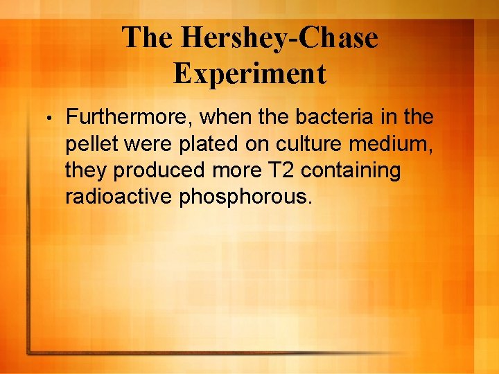 The Hershey-Chase Experiment • Furthermore, when the bacteria in the pellet were plated on The Hershey-Chase Experiment • Furthermore, when the bacteria in the pellet were plated on