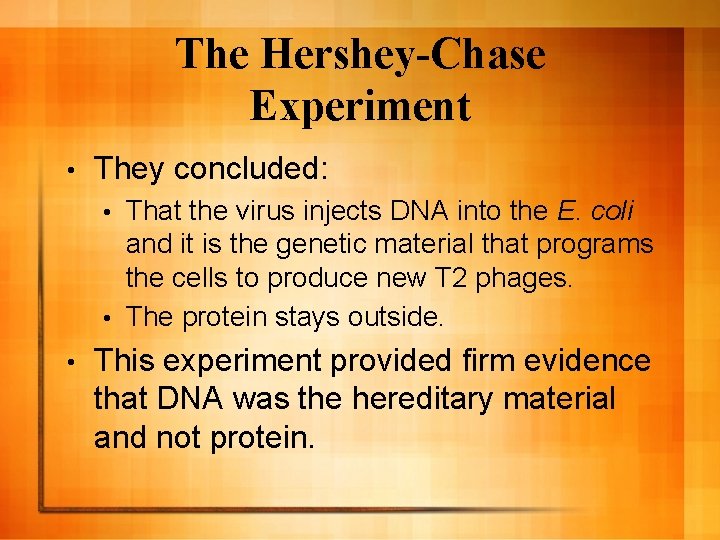 The Hershey-Chase Experiment • They concluded: That the virus injects DNA into the E. The Hershey-Chase Experiment • They concluded: That the virus injects DNA into the E.