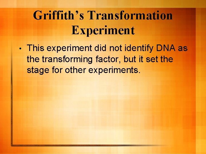 Griffith’s Transformation Experiment • This experiment did not identify DNA as the transforming factor, Griffith’s Transformation Experiment • This experiment did not identify DNA as the transforming factor,