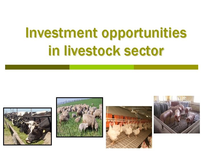 Investment opportunities in livestock sector 