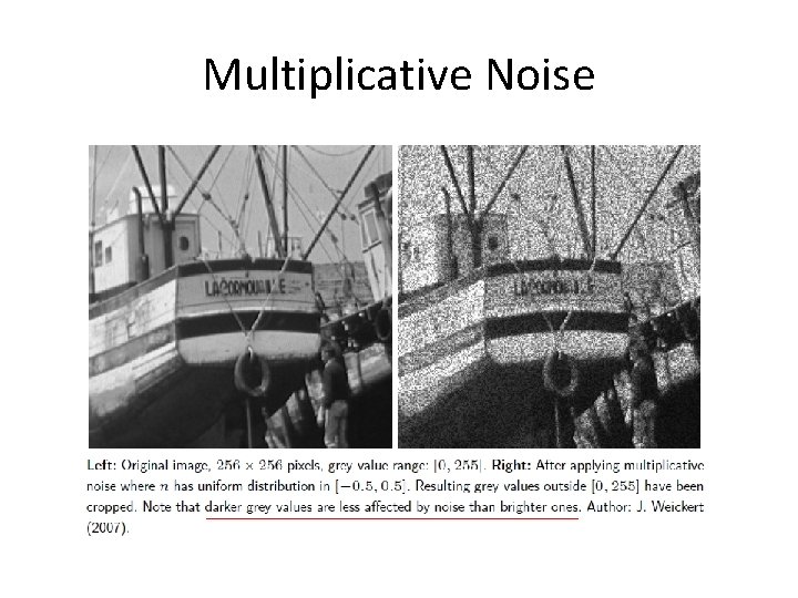 Multiplicative Noise 