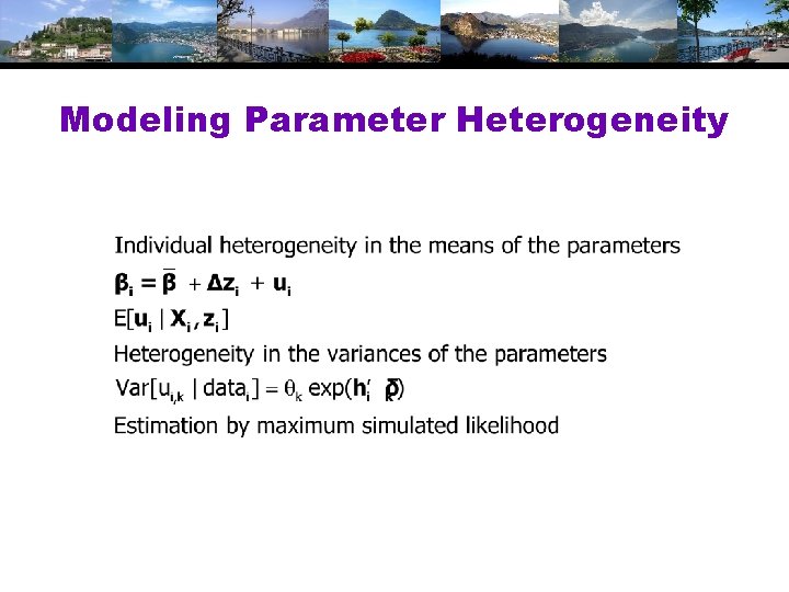Modeling Parameter Heterogeneity 