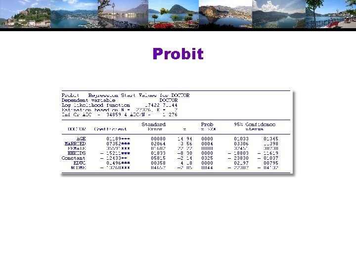 Probit 
