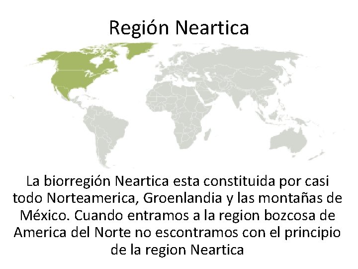 Región Neartica La biorregión Neartica esta constituida por casi todo Norteamerica, Groenlandia y las