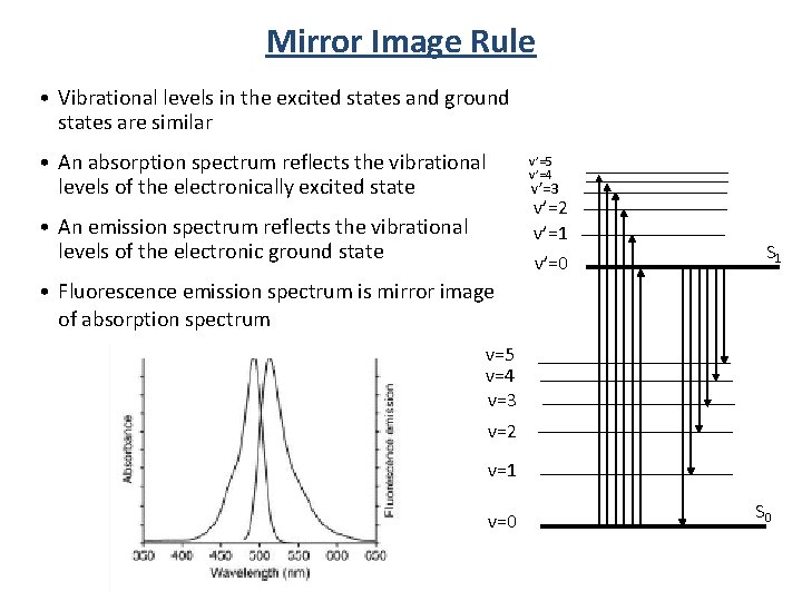 Mirror Image Rule • Vibrational levels in the excited states and ground states are