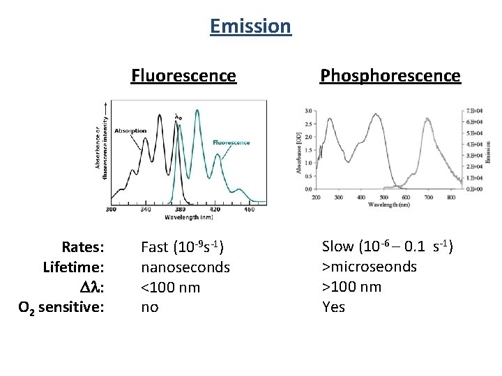 Emission Rates: Lifetime: Dl: O 2 sensitive: Fluorescence Phosphorescence Fast (10 -9 s-1) nanoseconds