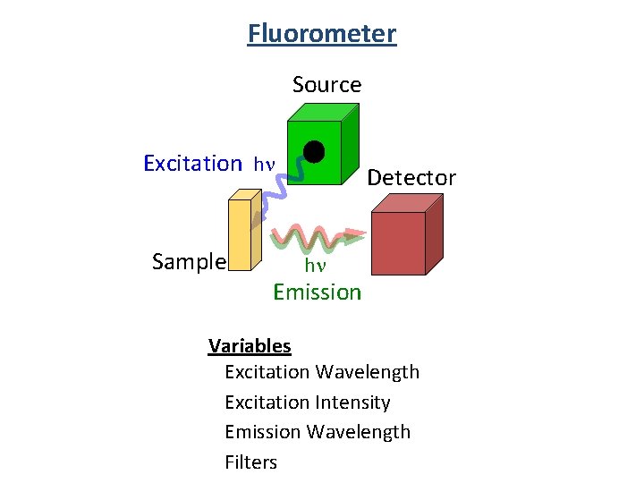 Fluorometer Source Excitation hn Sample Detector hn Emission Variables Excitation Wavelength Excitation Intensity Emission