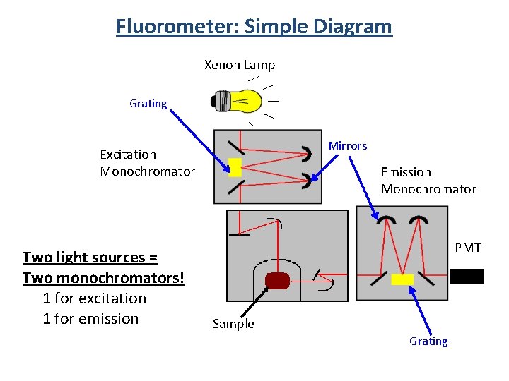 Fluorometer: Simple Diagram Xenon Lamp Grating Mirrors Excitation Monochromator Two light sources = Two