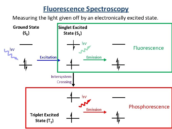 Fluorescence Spectroscopy Measuring the light given off by an electronically excited state. Ground State