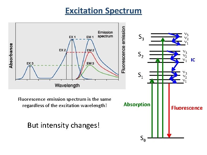 Absorbance Excitation Spectrum Fluorescence emission spectrum is the same regardless of the excitation wavelength!