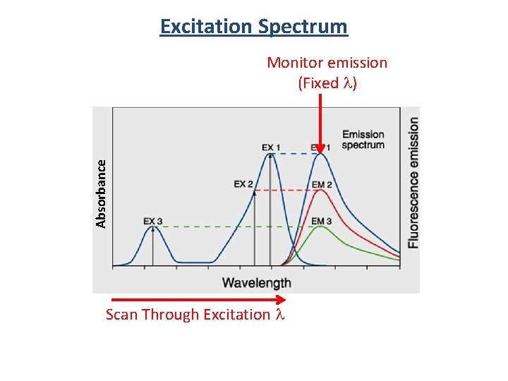 Excitation Spectrum Absorbance Monitor emission (Fixed l) Scan Through Excitation l 