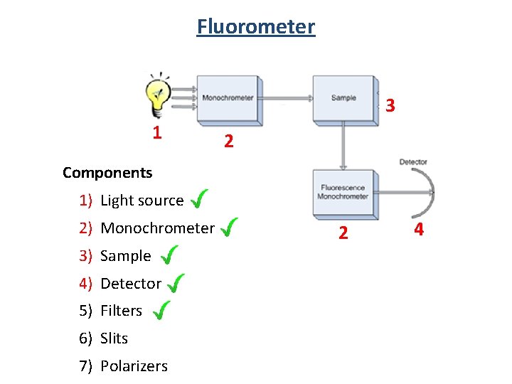 Fluorometer 3 1 2 Components 1) Light source 2) Monochrometer 3) Sample 4) Detector