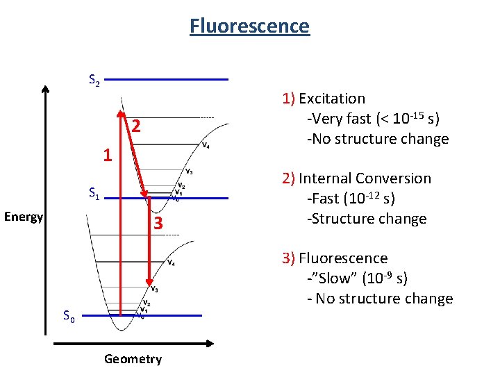 Fluorescence S 2 1) Excitation -Very fast (< 10 -15 s) -No structure change