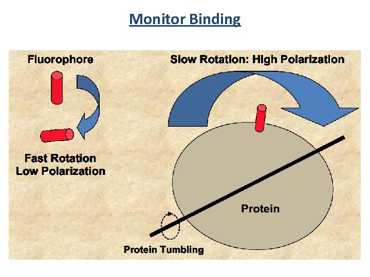 Monitor Binding 