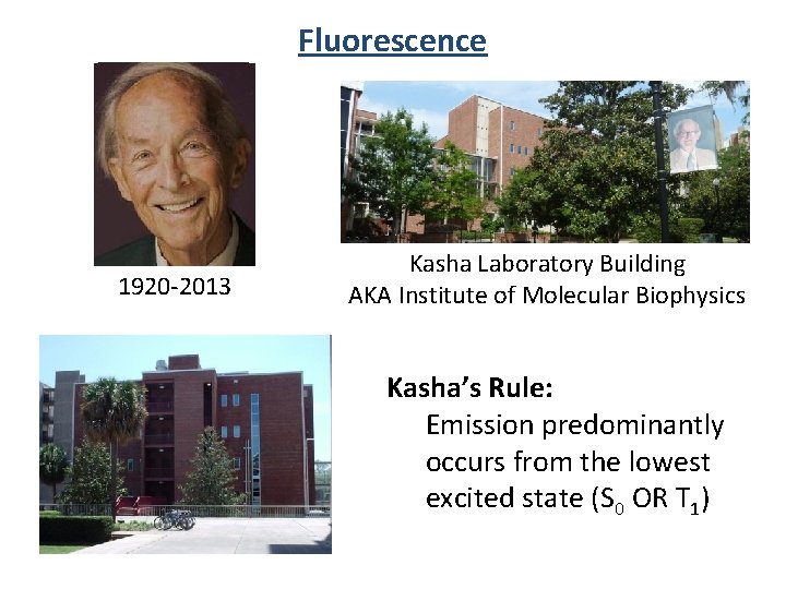 Fluorescence 1920 -2013 Kasha Laboratory Building AKA Institute of Molecular Biophysics Kasha’s Rule: Emission