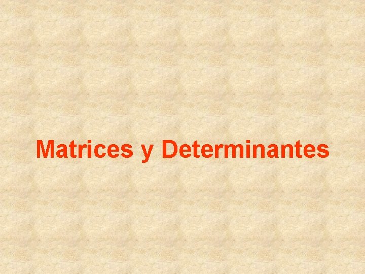 Matrices y Determinantes 