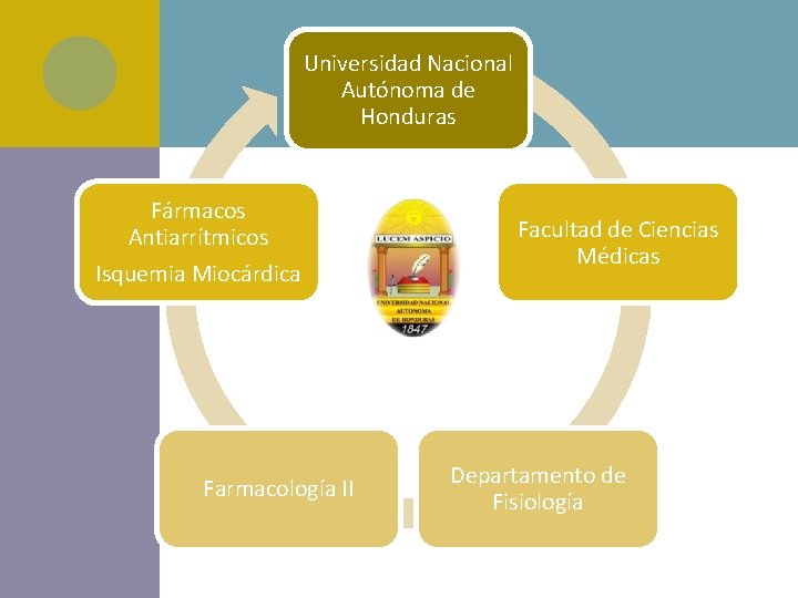 Universidad Nacional Autónoma de Honduras Fármacos Antiarrítmicos Isquemia Miocárdica Farmacología II Facultad de Ciencias