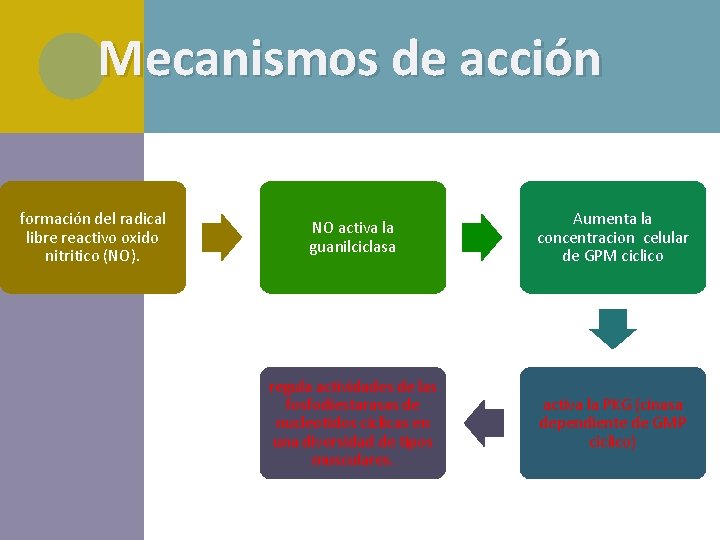 Mecanismos de acción formación del radical libre reactivo oxido nitritico (NO). NO activa la