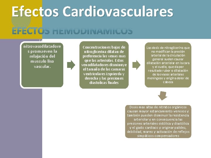 Efectos Cardiovasculares Los nitrovasodilatadore s promueven la relajación del musculo liso vascular. Concentraciones bajas Efectos Cardiovasculares Los nitrovasodilatadore s promueven la relajación del musculo liso vascular. Concentraciones bajas