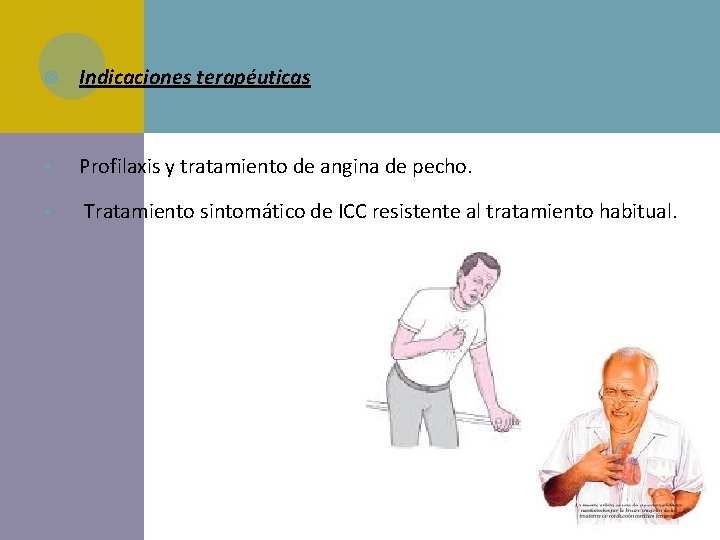  Indicaciones terapéuticas § Profilaxis y tratamiento de angina de pecho. § Tratamiento sintomático